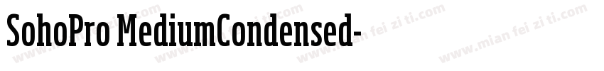 SohoPro MediumCondensed字体转换